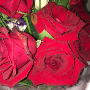 床上的免费的很黄60分钟视频
